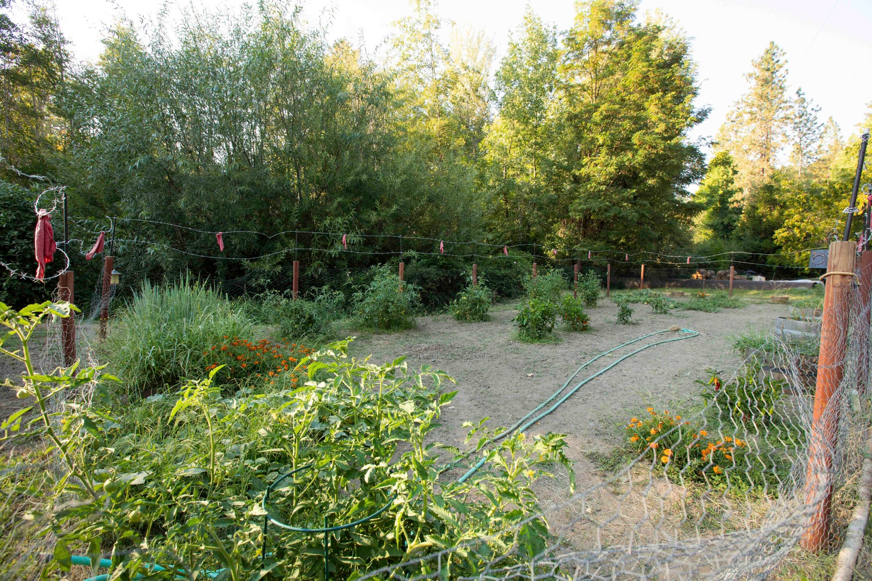 3488 Upper River Road Grants Pass, OR 97526 - Photo 39 of 48 3488 Upper Rvr Rd 042