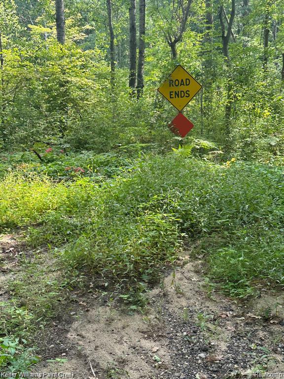 933 Hammond Road Harrison, MI 48625 - Photo 3 of 11