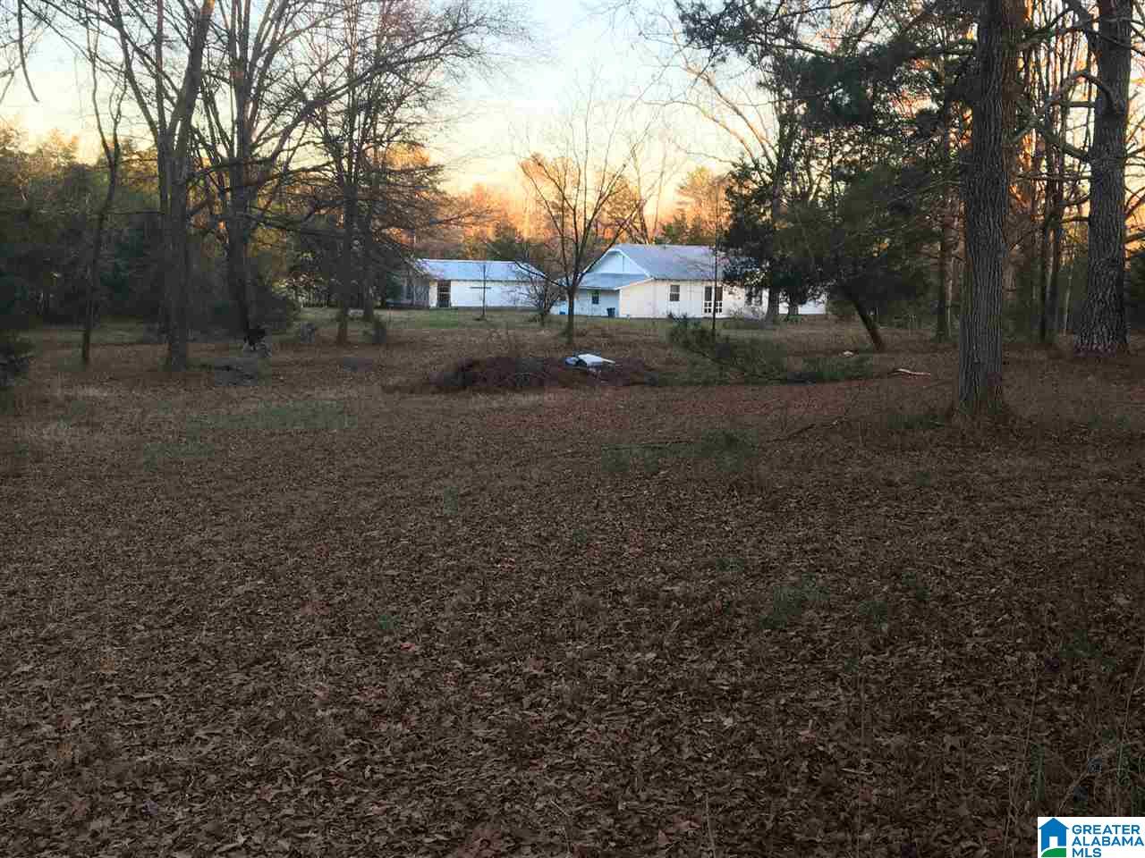 169 Saddle Club Road Jacksonville, AL 36265 - Photo 9 of 12