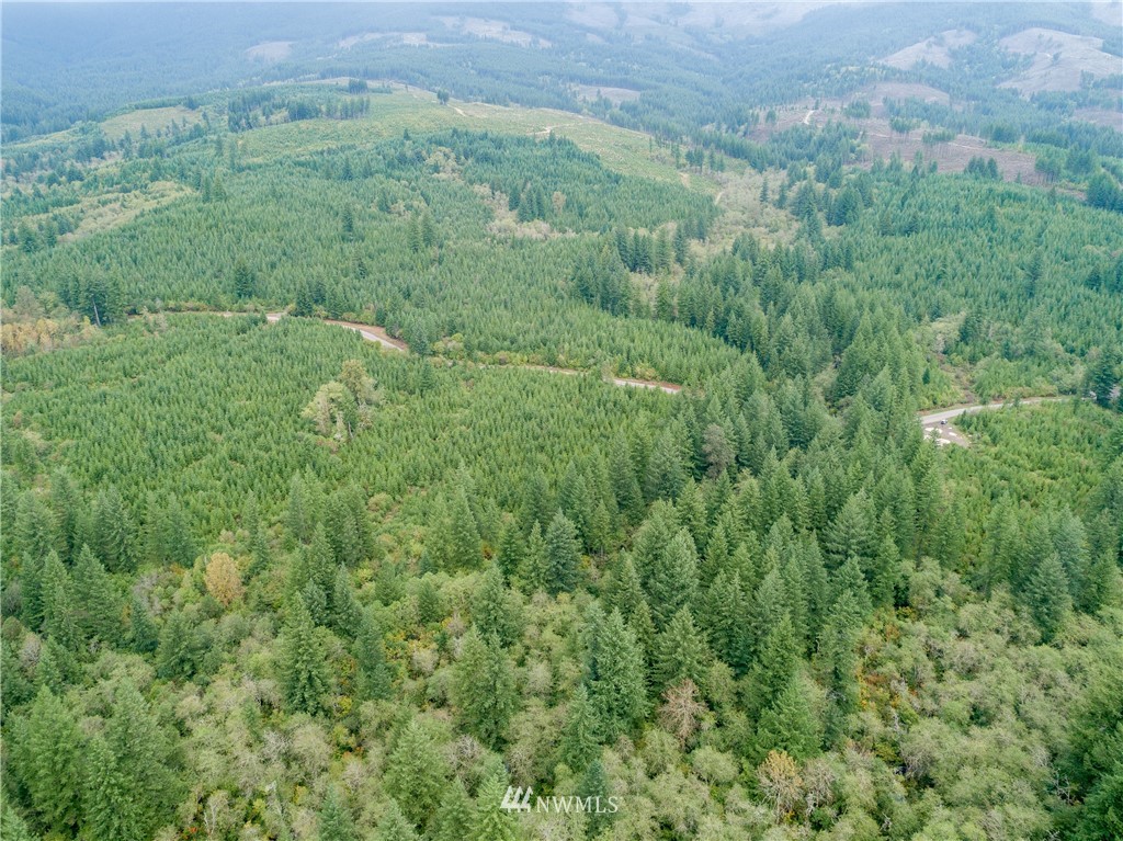 6 Northeast Boulder Creek Road Camas, WA 98607 - Photo 14 of 20