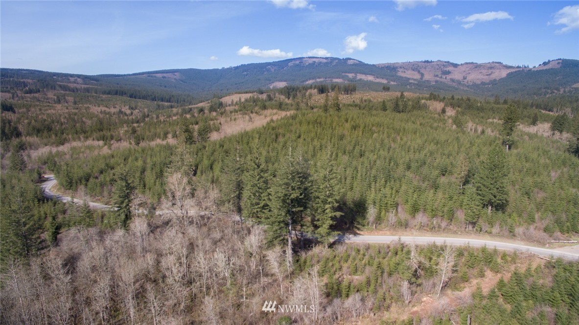 6 Northeast Boulder Creek Road Camas, WA 98607 - Photo 3 of 20