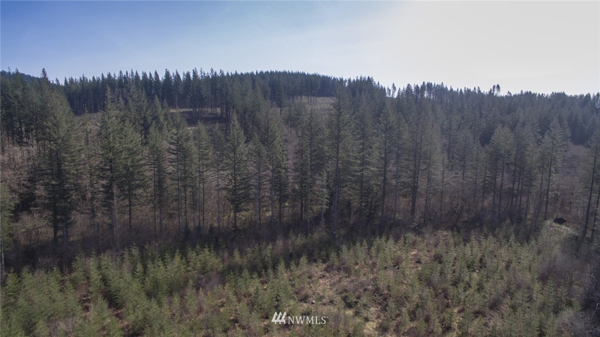 6 Northeast Boulder Creek Road Camas, WA 98607 - Photo 4 of 20