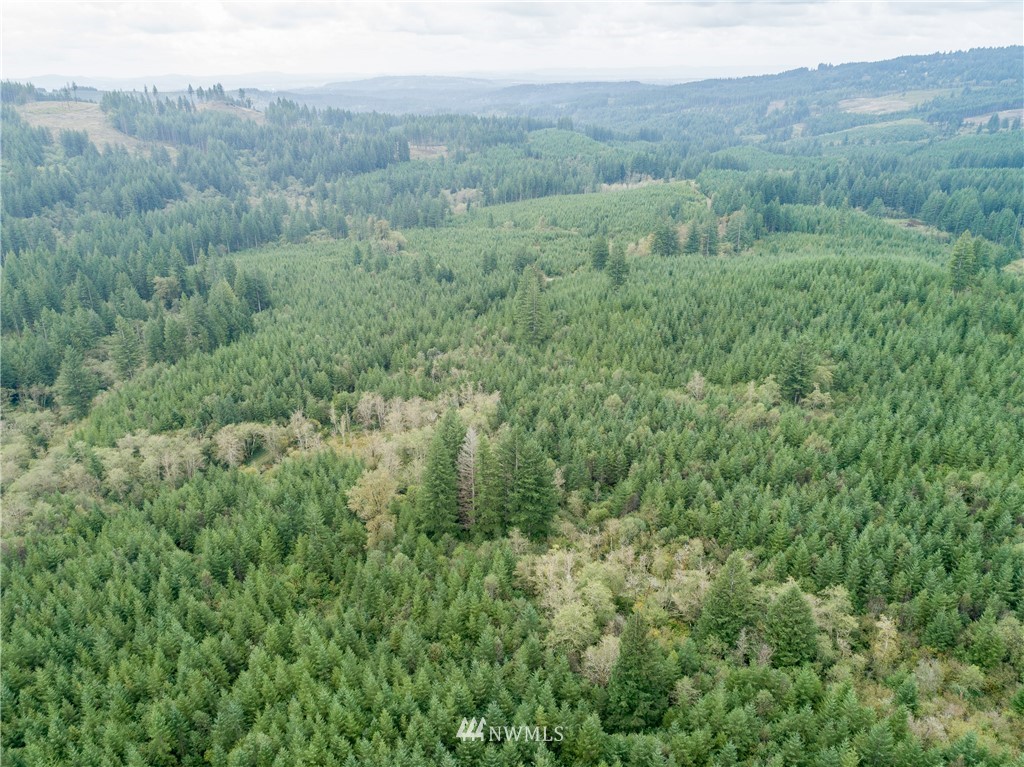 6 Northeast Boulder Creek Road Camas, WA 98607 - Photo 6 of 20
