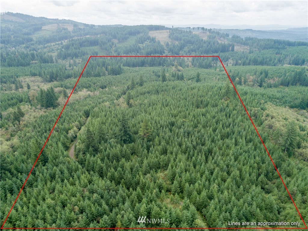 6 Northeast Boulder Creek Road Camas, WA 98607 - Photo 7 of 20