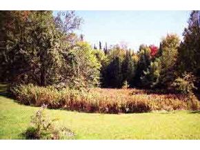 - New Colony Road Canaan, NH 03741 - Photo 2 of 2 Gallery Image 2