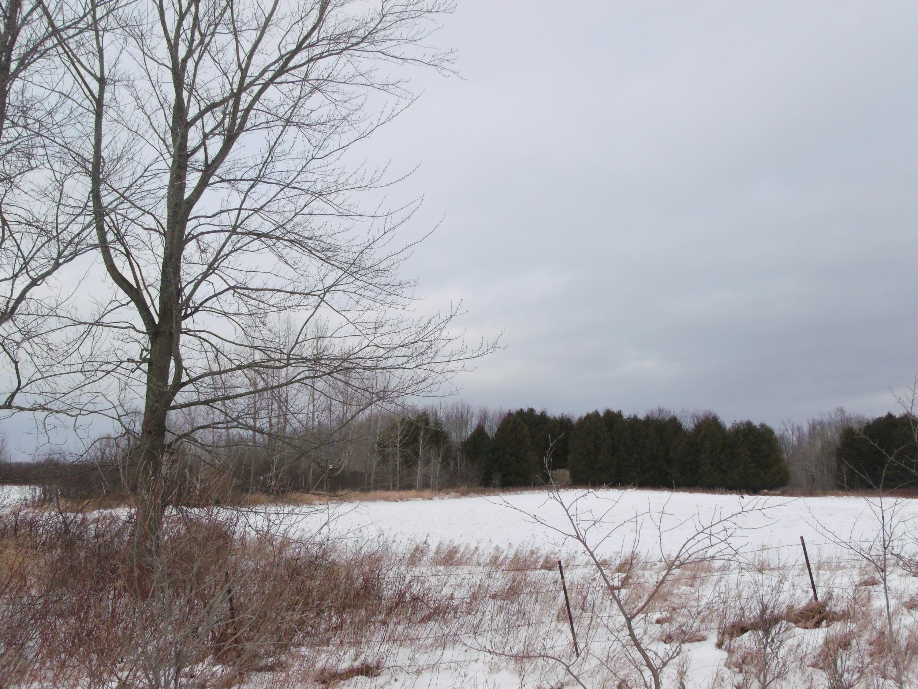 Sauer Road Hillman, MI 49746 - Photo 7 of 14 Gallery Image 7