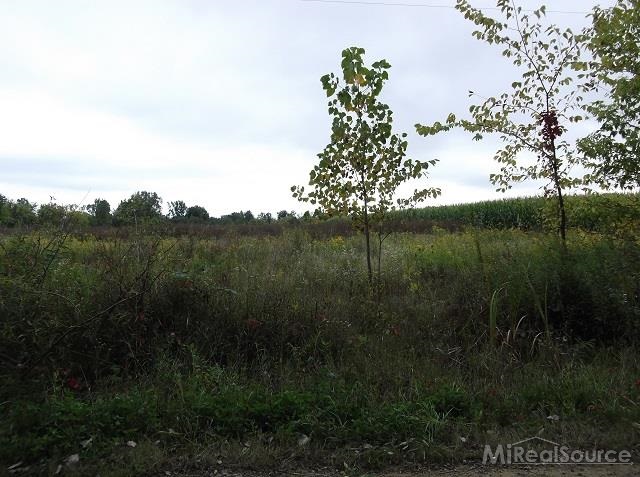 0 Metcalf Road Capac, MI 48014 - Photo 4 of 14