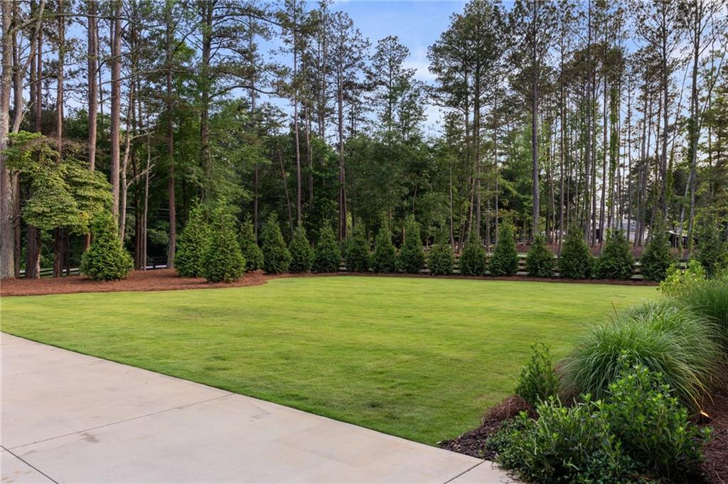 397 Owens Store Road Canton, GA 30115 - Photo 94 of 109