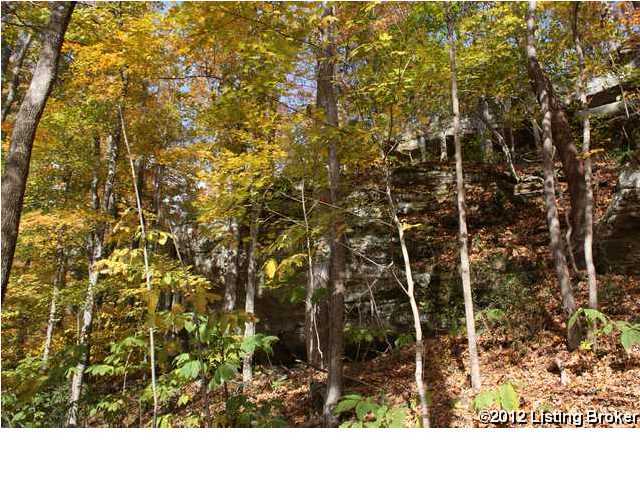 1504 Country Paradise Road Leitchfield, KY 42754 - Photo 16 of 24 Additional Photo