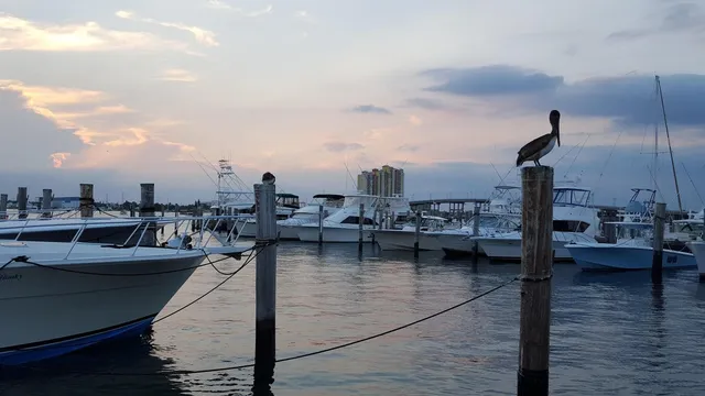 a view of a terrace with seating area