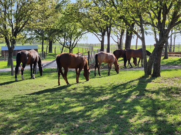 $1,375,000 | 4067 County Road 414, Muenster, TX 76252