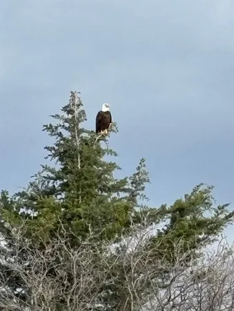 $1,375,000 | 4067 County Road 414, Muenster, TX 76252