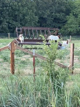 $1,375,000 | 4067 County Road 414, Muenster, TX 76252