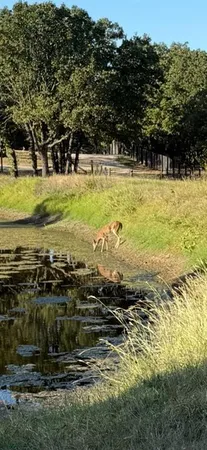 $1,375,000 | 4067 County Road 414, Muenster, TX 76252