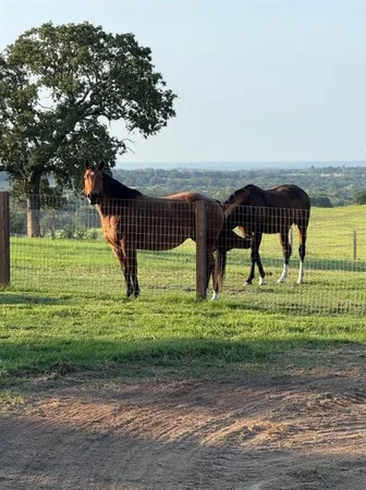 $1,375,000 | 4067 County Road 414, Muenster, TX 76252