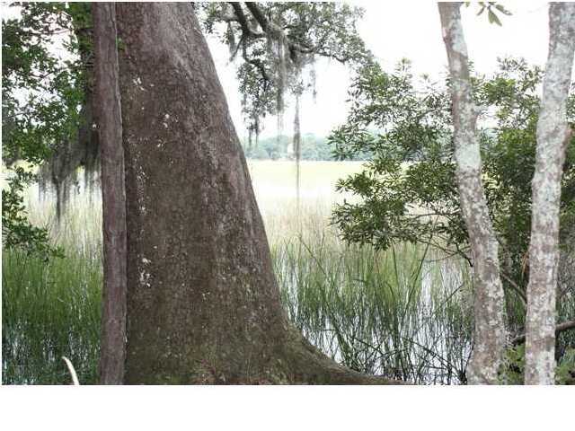 4170 Chisolm Road Johns Island, SC 29455 - Photo 3 of 4 Additional Photo