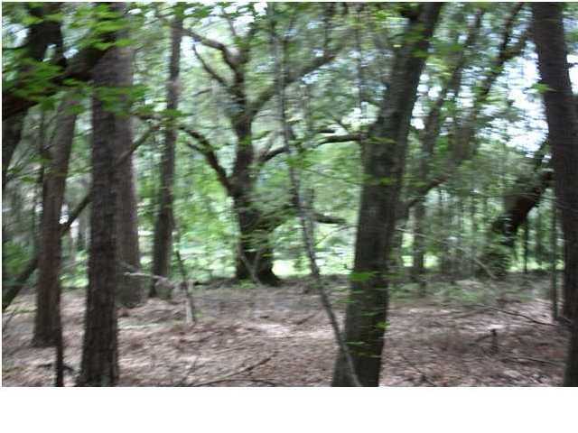 4170 Chisolm Road Johns Island, SC 29455 - Photo 4 of 4 Additional Photo