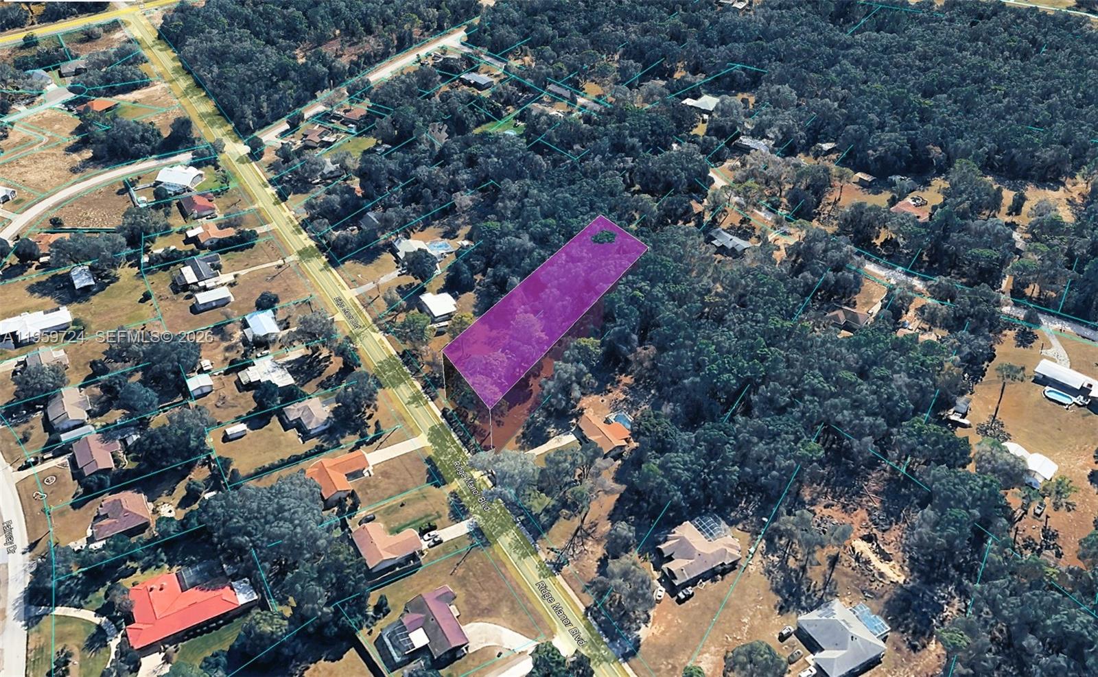 0 Ridge Manor Boulevard Dade City, FL 33523 - Photo 2 of 6