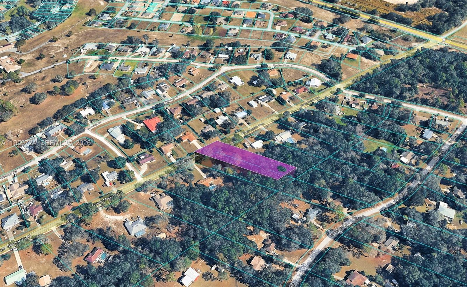 0 Ridge Manor Boulevard Dade City, FL 33523 - Photo 3 of 6