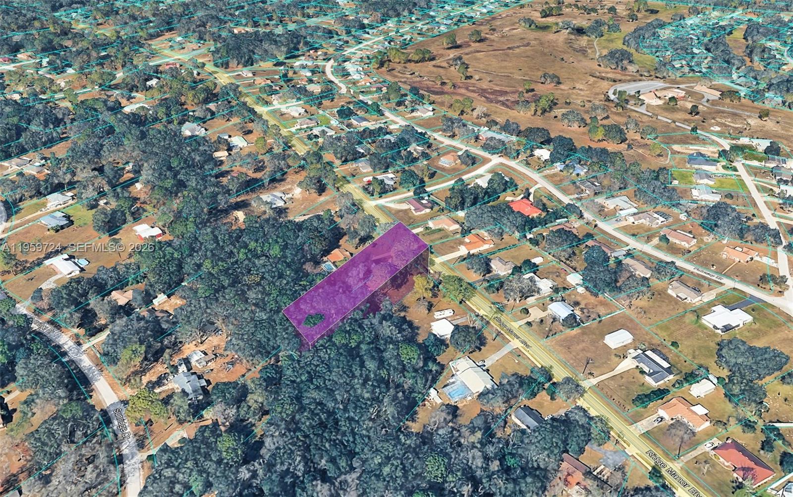 0 Ridge Manor Boulevard Dade City, FL 33523 - Photo 4 of 6