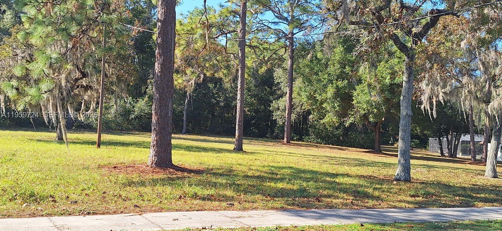 0 Ridge Manor Boulevard Dade City, FL 33523 - Photo 5 of 6