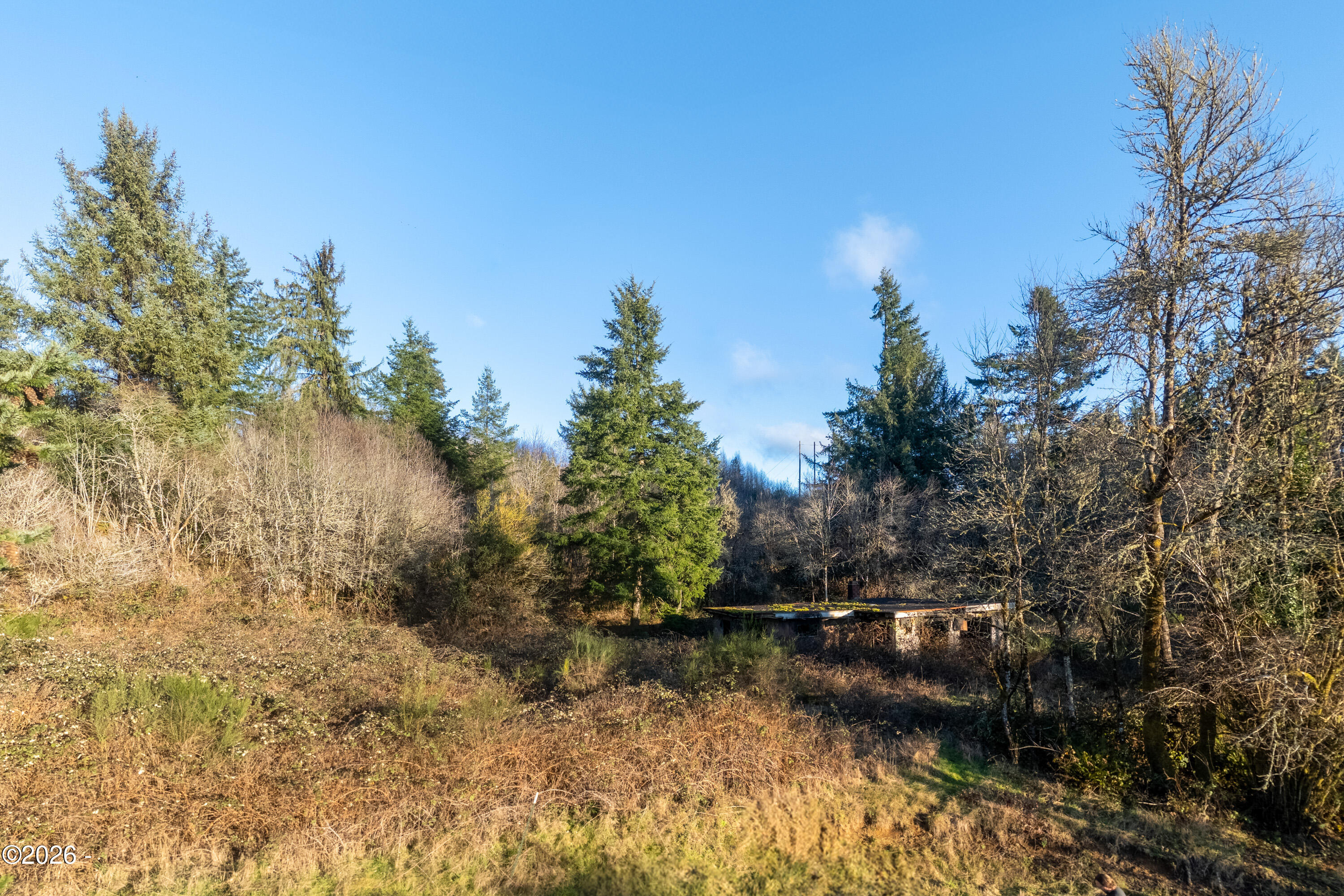 320 Northeast Sturdevant Road Toledo, OR 97391 - Photo 6 of 15 320 NE STURDEVANT RD (10)