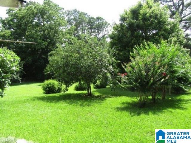 324 Rock Mills Road Roanoke, AL 36274 - Photo 16 of 17