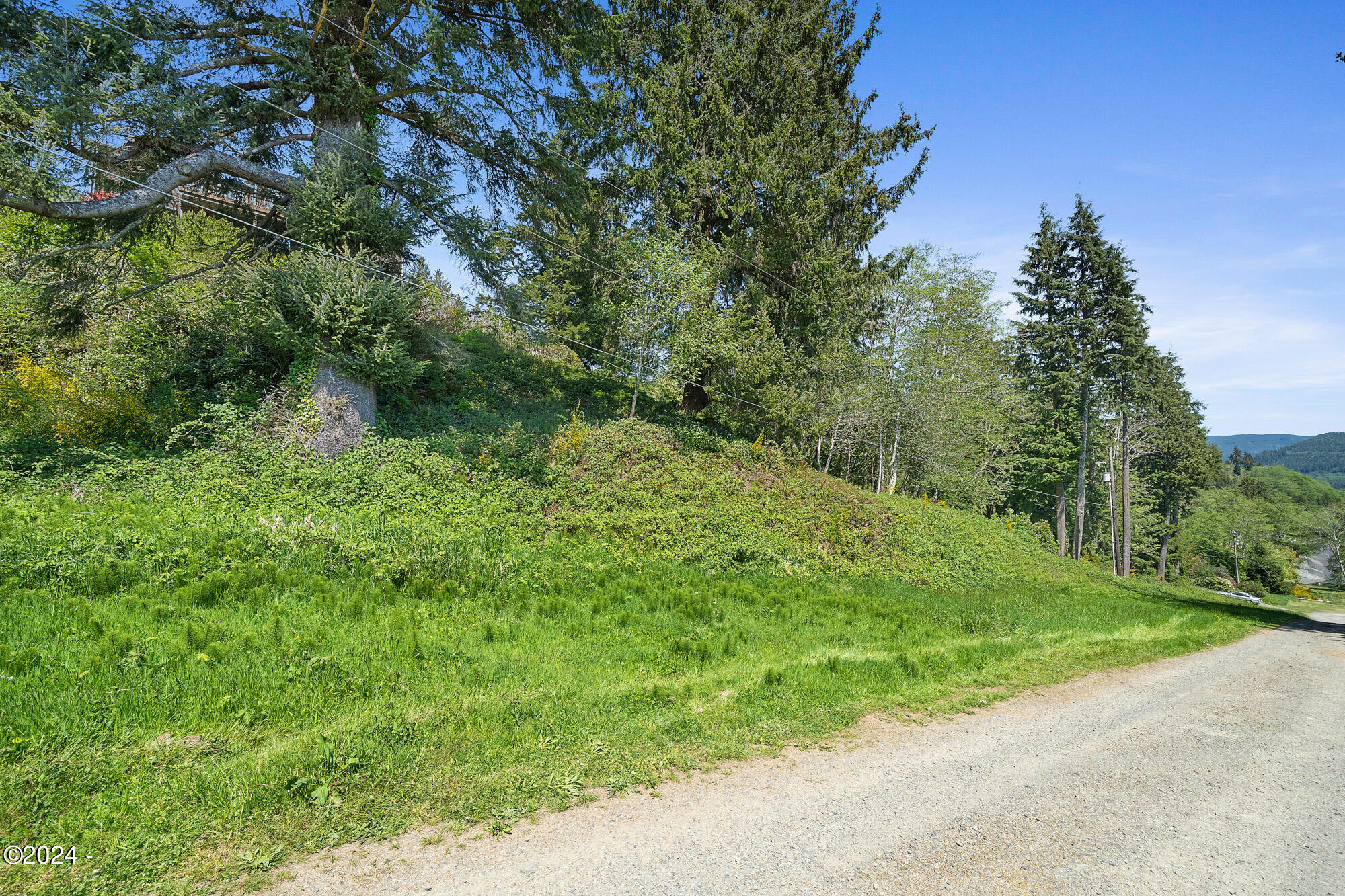 2 Fir Avenue Tillamook, OR 97141 - Photo 7 of 15 Ginger Street View