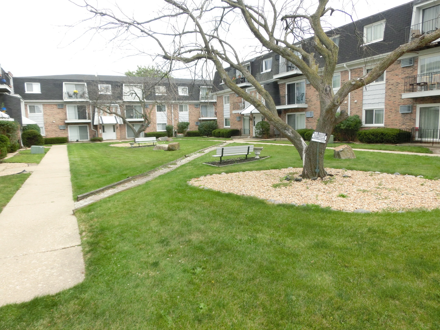 10324 South Ridgeland Avenue, Unit 105 Chicago Ridge, IL 60415 - Photo 14 of 16 a view of a white house with a yard and plants