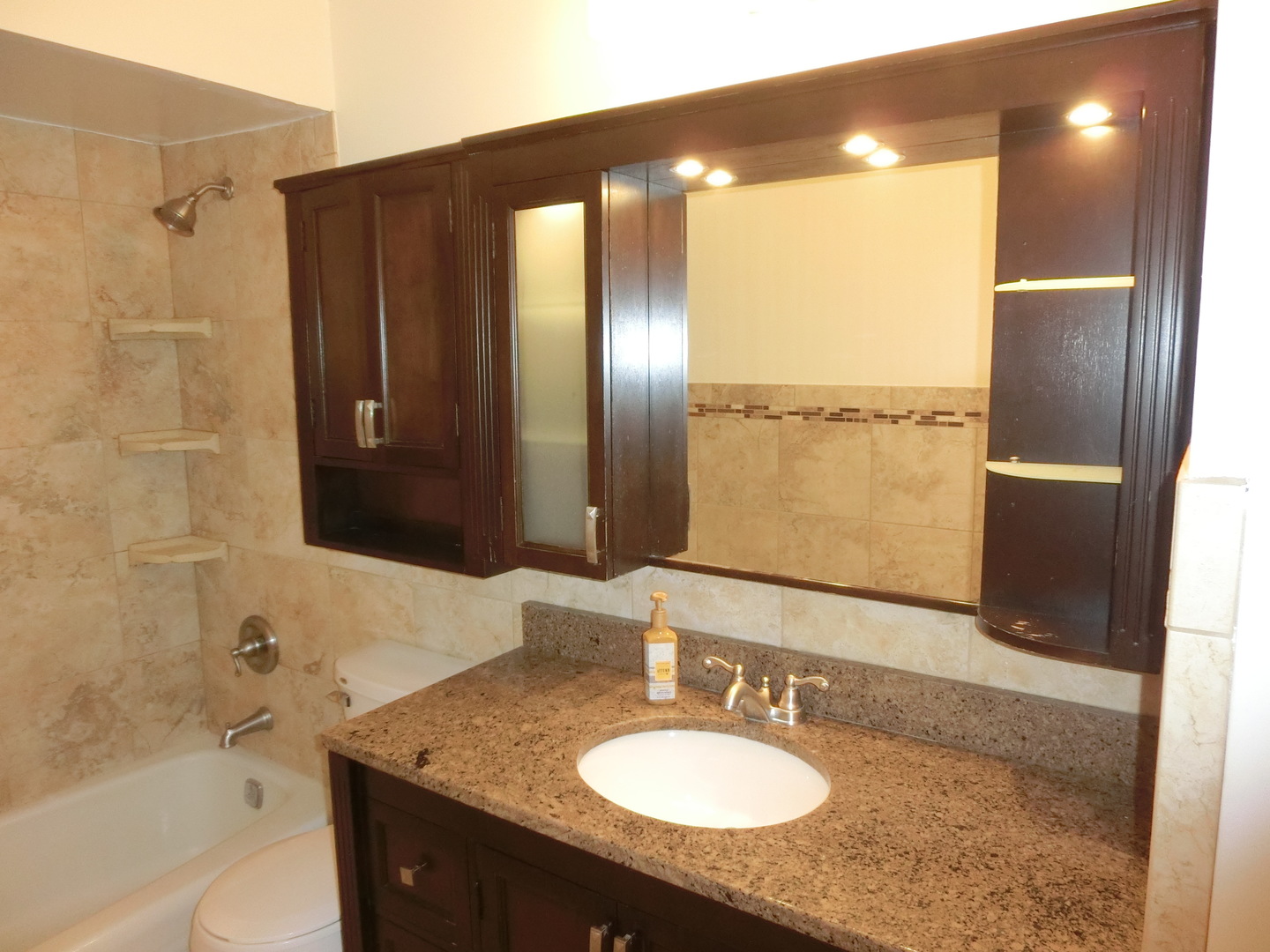 10324 South Ridgeland Avenue, Unit 105 Chicago Ridge, IL 60415 - Photo 10 of 16 a bathroom with a sink double vanity and a mirror