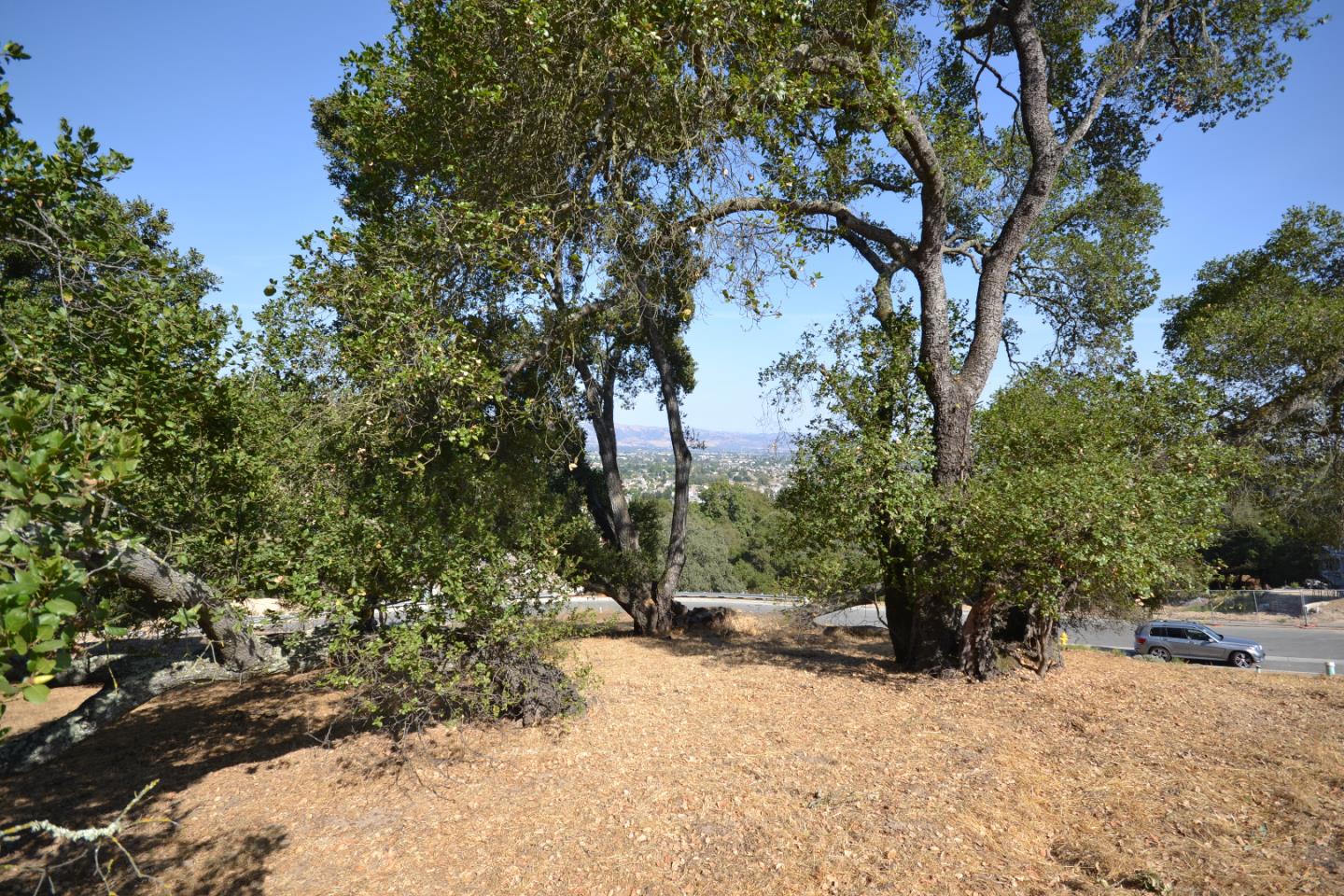 9035 Tea Tree Way Gilroy, CA 95020 - Photo 2 of 22 Gallery Image 2