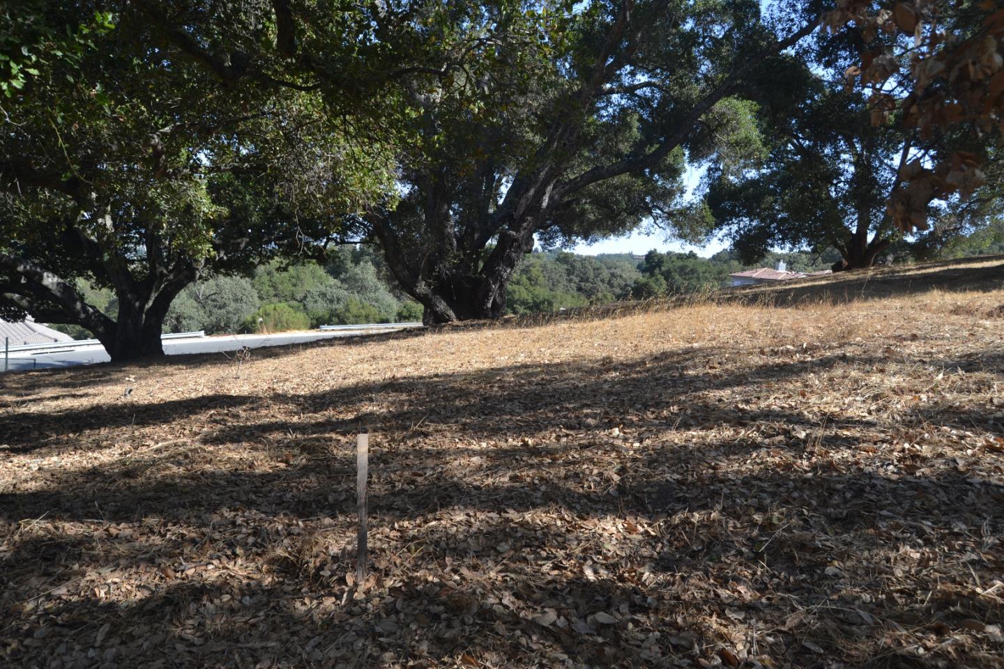 9035 Tea Tree Way Gilroy, CA 95020 - Photo 11 of 22 Gallery Image 11