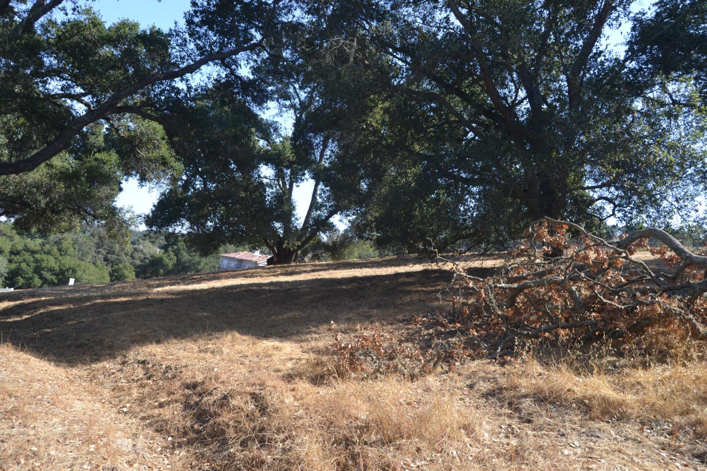 9035 Tea Tree Way Gilroy, CA 95020 - Photo 13 of 22 Gallery Image 13