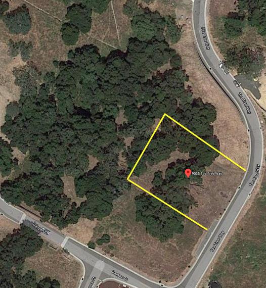 9035 Tea Tree Way Gilroy, CA 95020 - Photo 6 of 22 Gallery Image 6