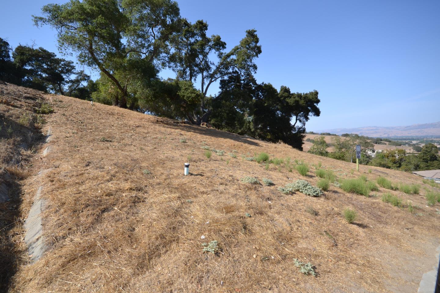 9035 Tea Tree Way Gilroy, CA 95020 - Photo 10 of 22 Gallery Image 10