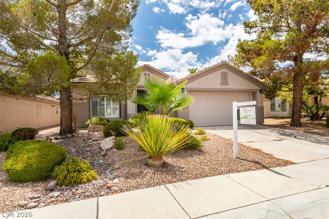 Mature shade trees and low-maintenance desert landscaping frame a classic stucco facade.
