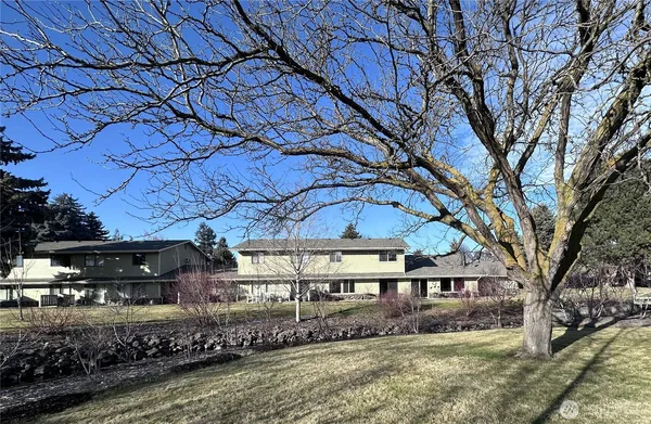 a large tree in front of a house