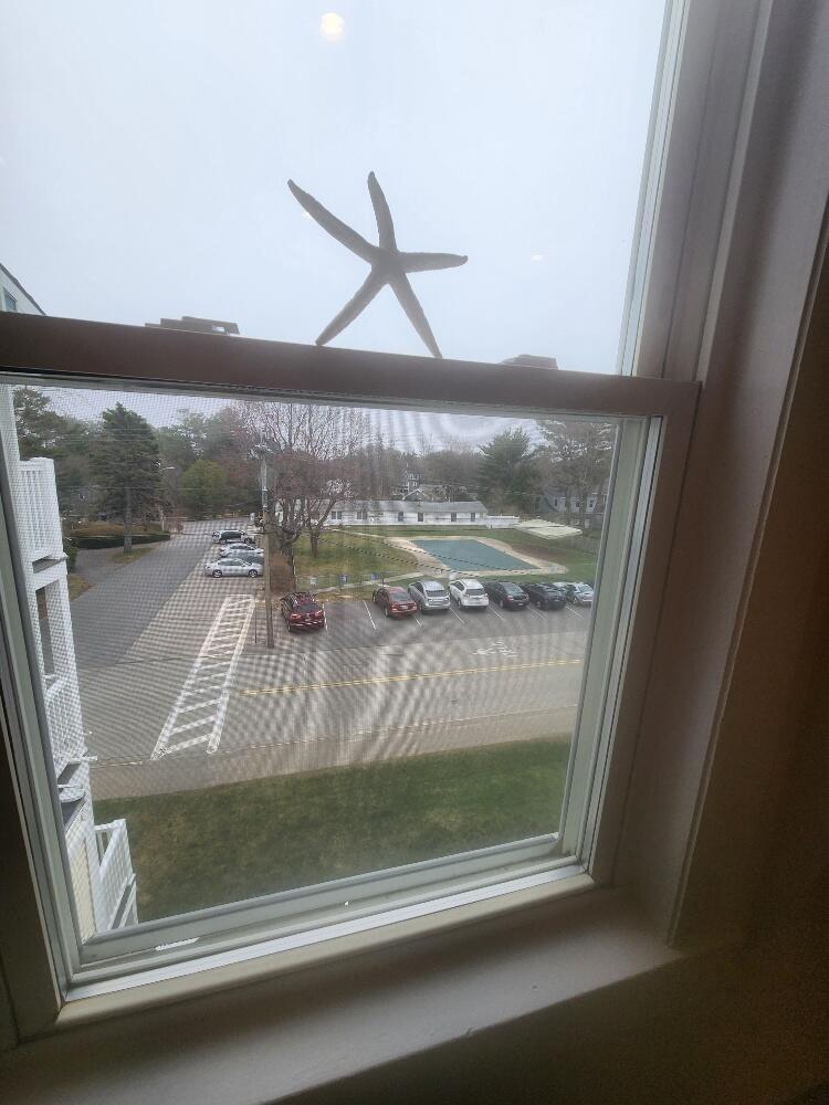 55 Israel Head Road, Unit 411 Ogunquit, ME 03907 - Photo 20 of 26 20230416_120656_resized