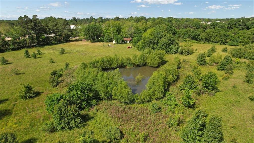 801 Jefferson Road Paris, TX 75460 - Photo 12 of 20 Pond lined with trees