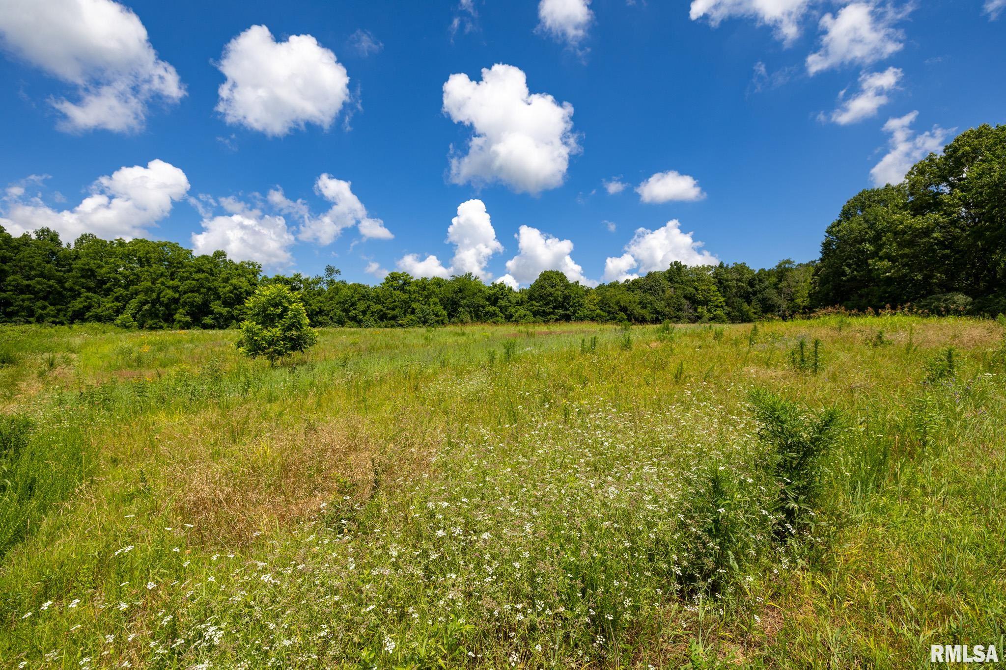 1770 Aldridge Road Cobden, IL 62920 - Photo 55 of 71