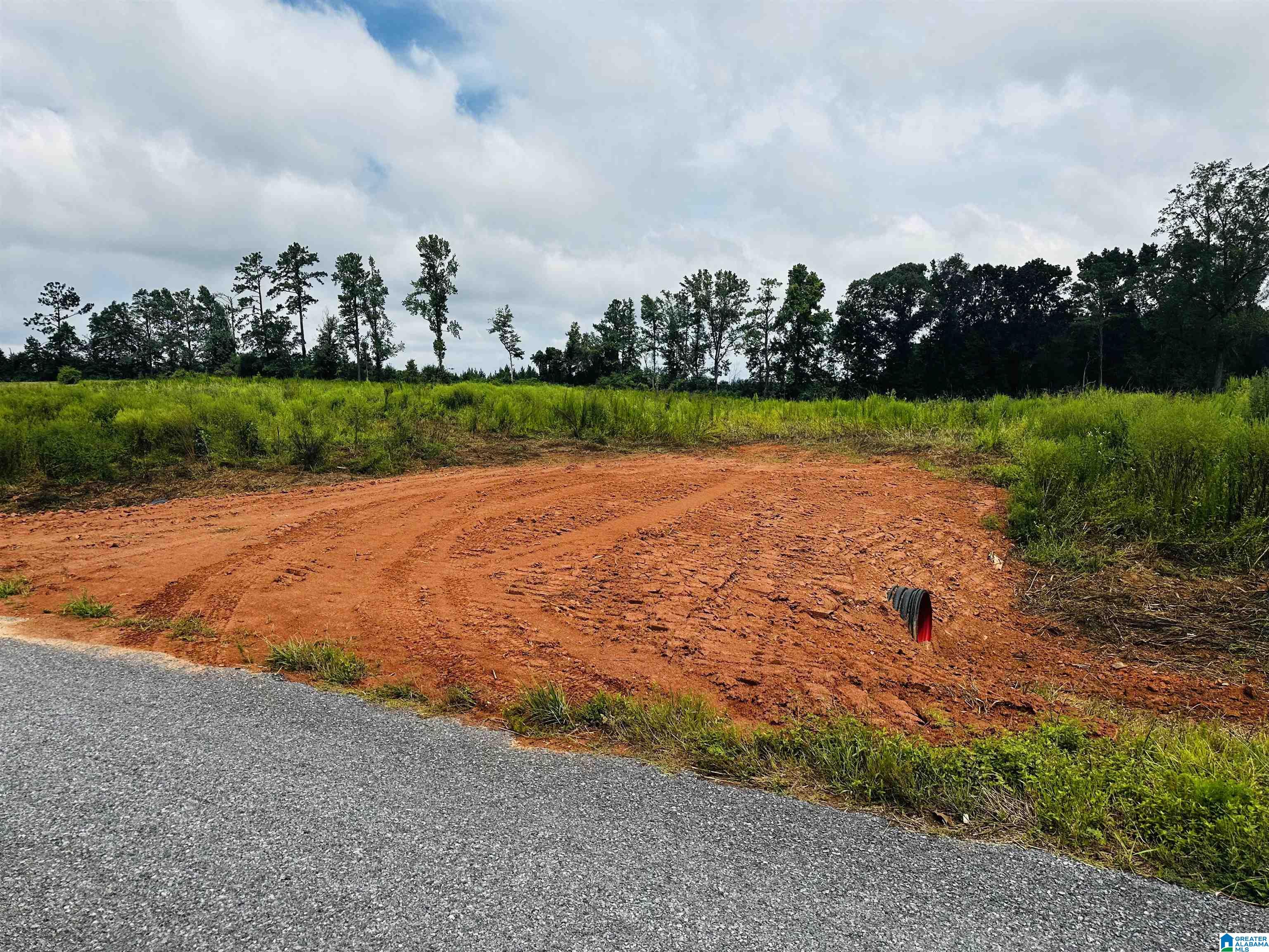 0 McVey Road Lineville, AL 36266 - Photo 6 of 7