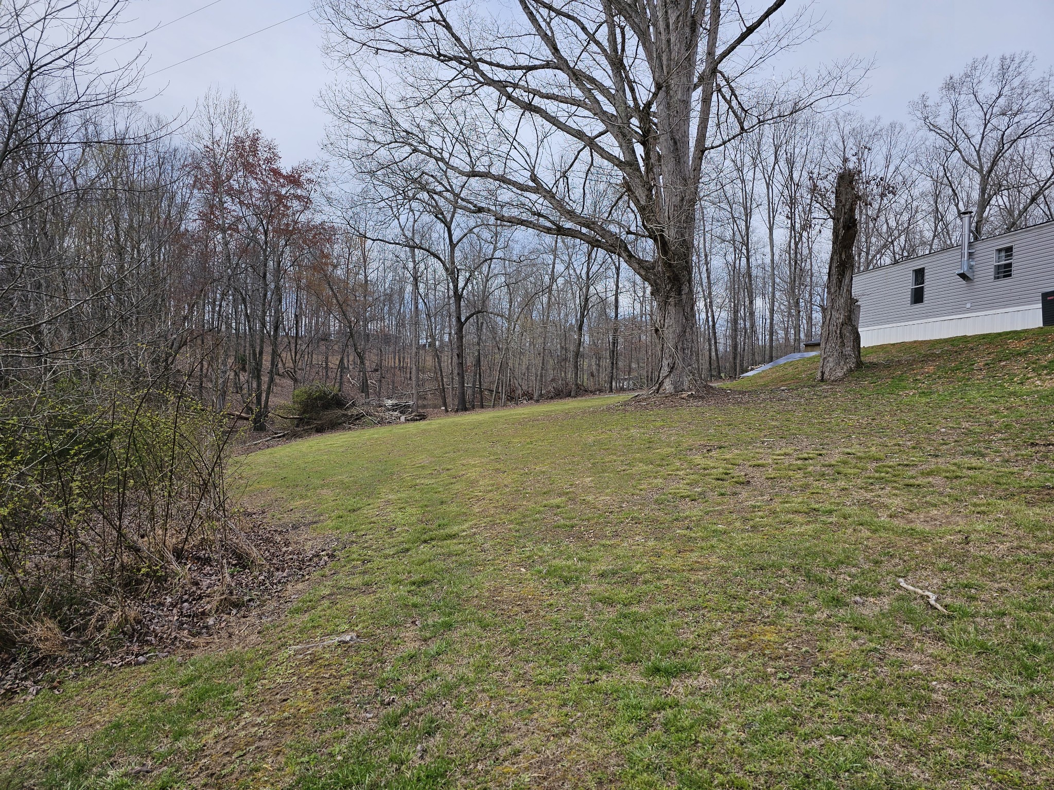 41 Sweet Springs Road Kelso, TN 37348 - Photo 34 of 38 a view of a yard with trees