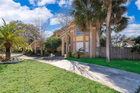 a view of a backyard with palm trees