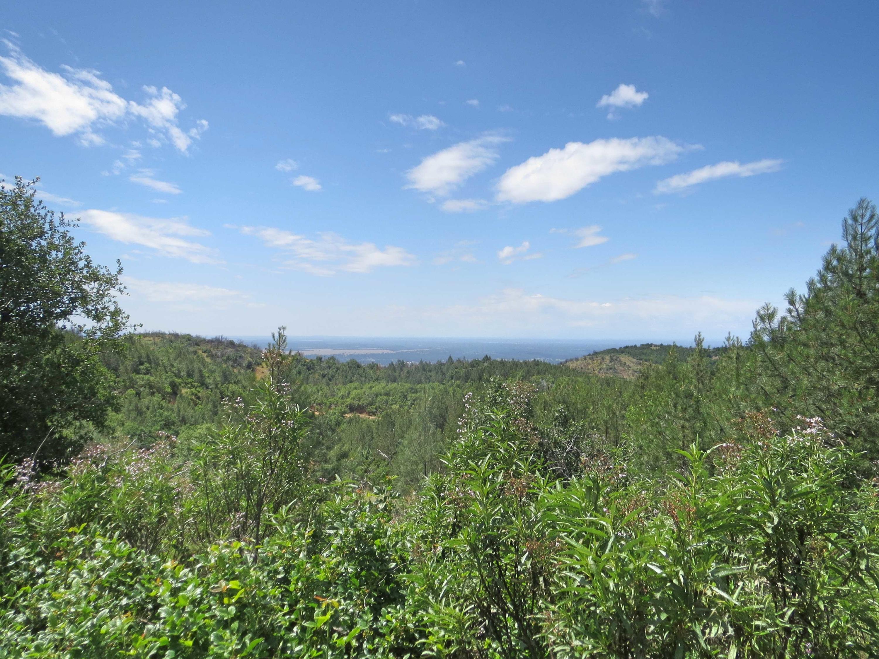 20-acres 20-acres Backbone Ridge Road Bella Vista, CA 96008 - Photo 2 of 8 Valley view