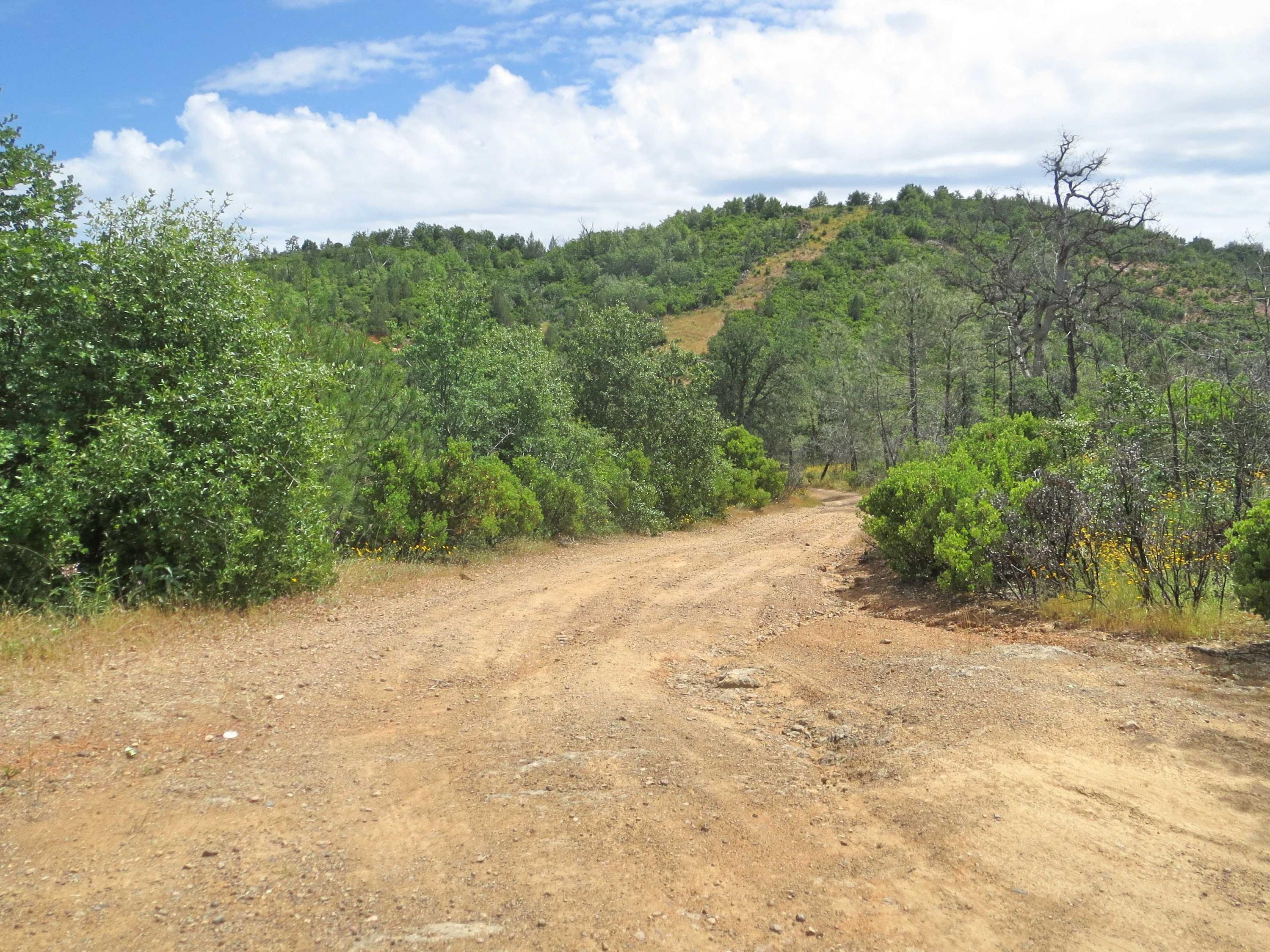 20-acres 20-acres Backbone Ridge Road Bella Vista, CA 96008 - Photo 3 of 8 Backbone Ridge Road