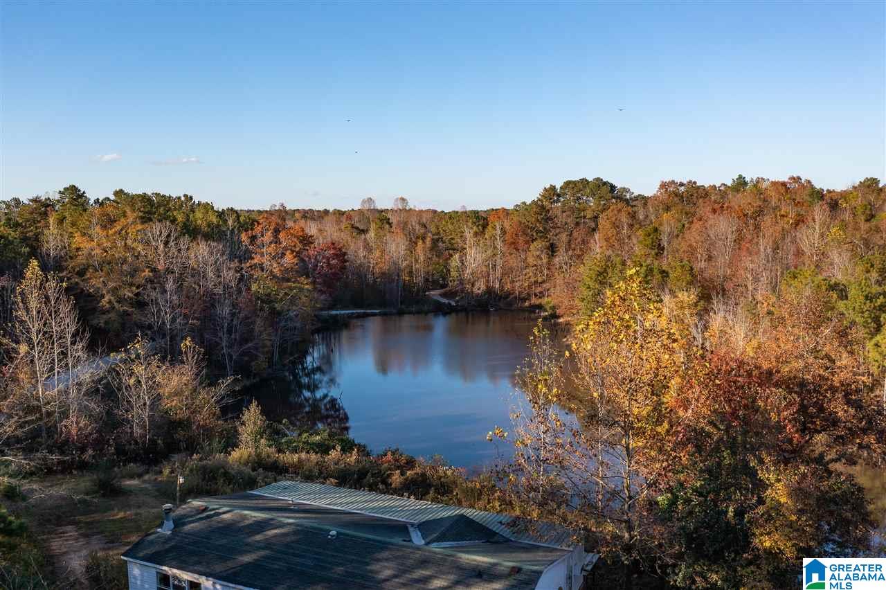 300 Henderson Lake Road Sylacauga, AL 35151 - Photo 15 of 20