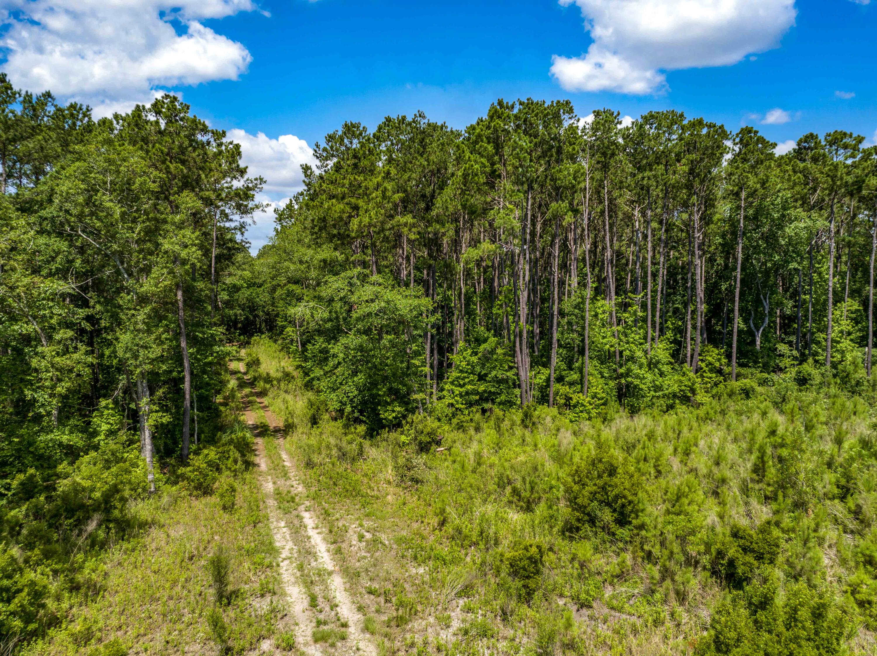 0 Edenborough Road Johns Island, SC 29455 - Photo 5 of 18 0 Edenborough_Low Res-15