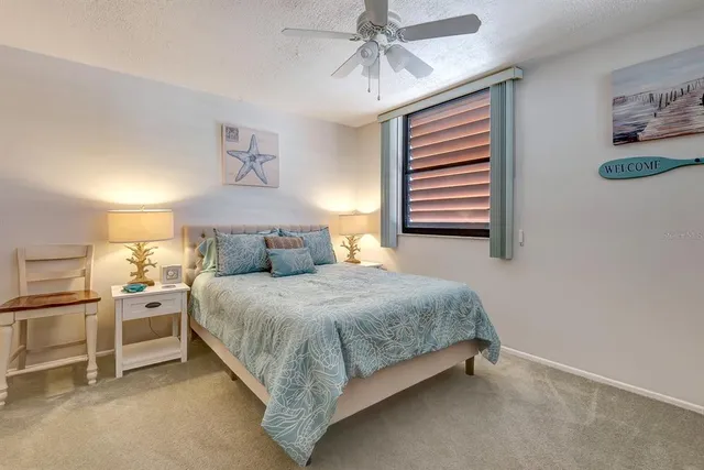 front view of house with a palm plants