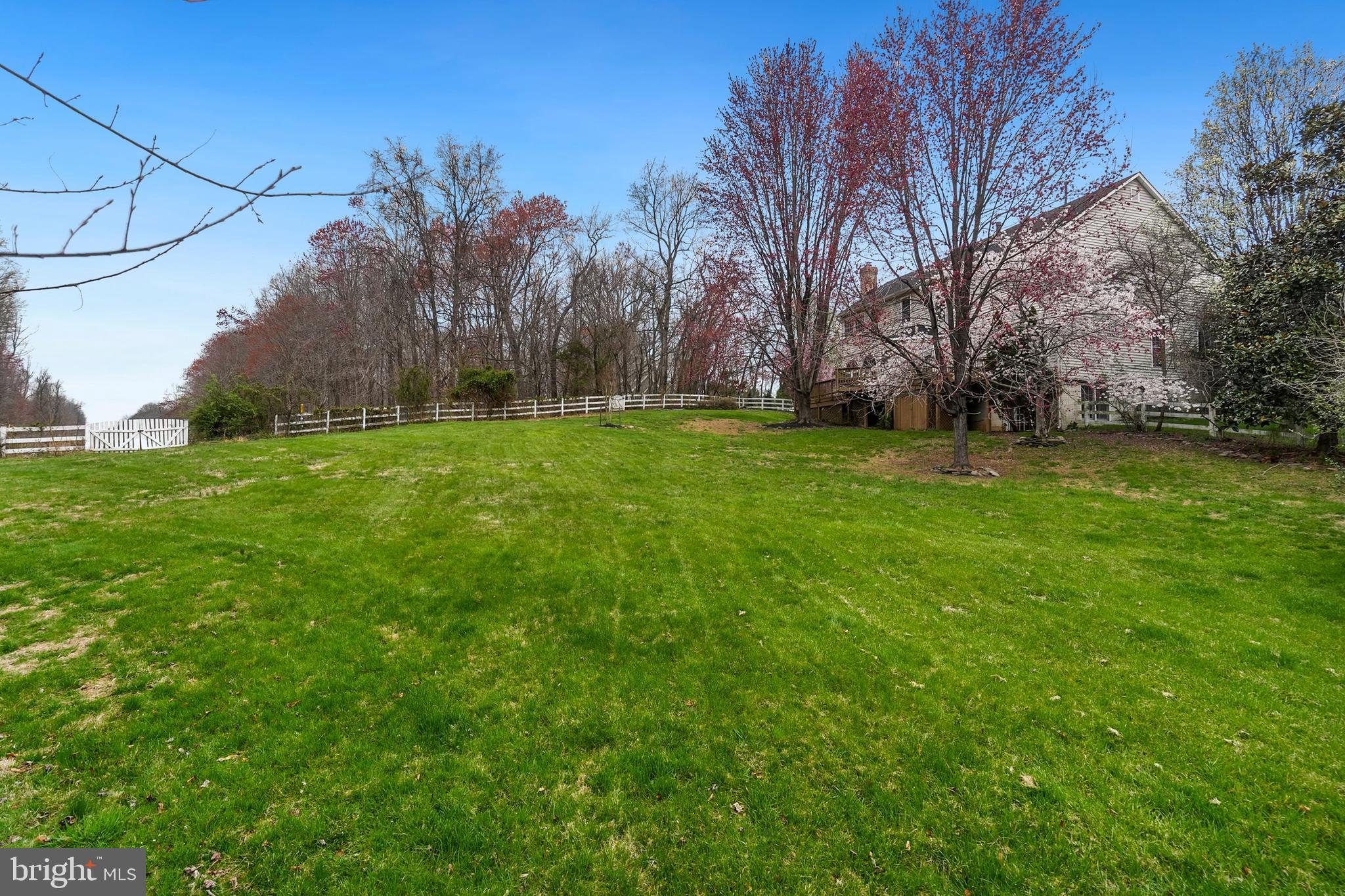 11133 Tommye Lane Reston, VA 20194 - Photo 60 of 70