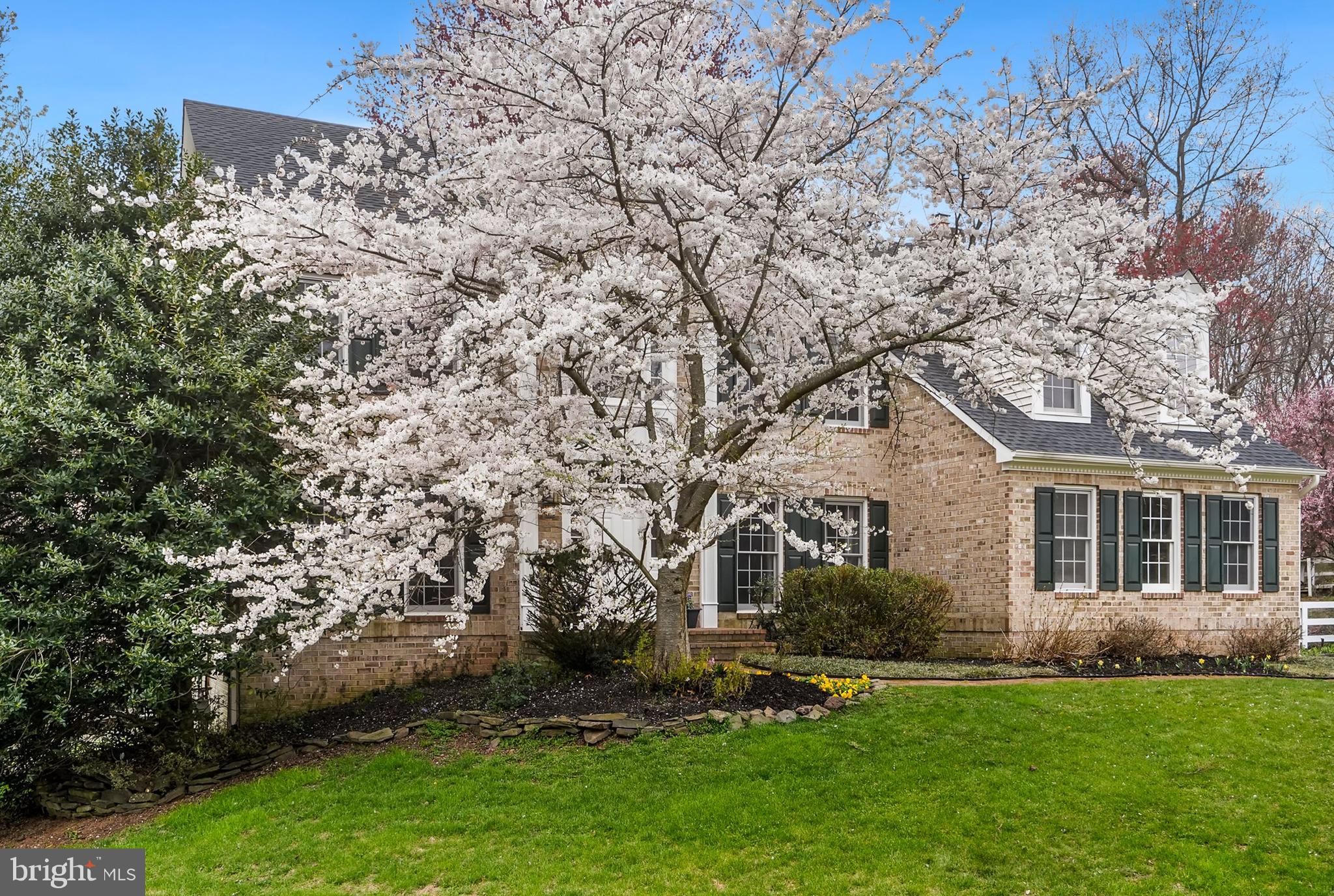 11133 Tommye Lane Reston, VA 20194 - Photo 7 of 70